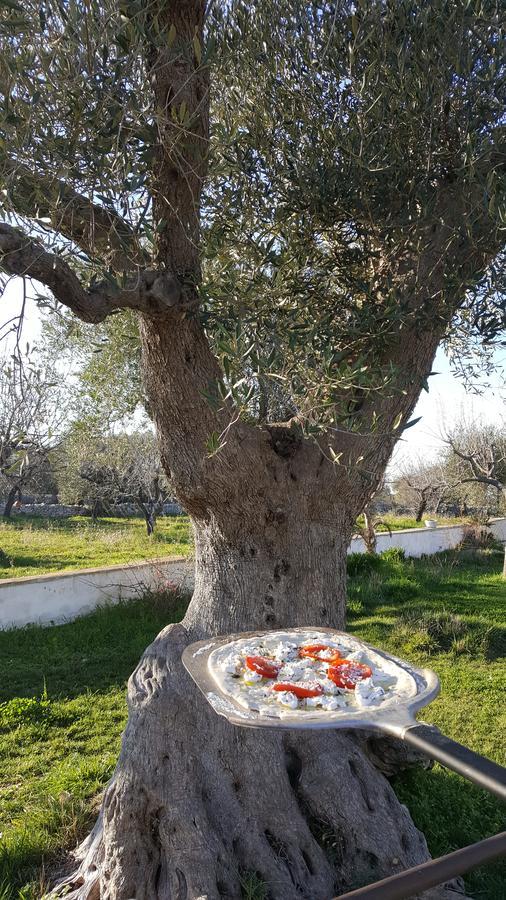 Masseria Cesarina B&B Кастеллана-Гротте Екстер'єр фото